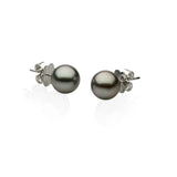 Pearl Earrings - 9ct White Gold Tahitian Pearl Earrings - 771549