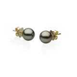 Pearl Earrings - 9ct Yellow Gold Tahitian Pearl Earrings - 771552