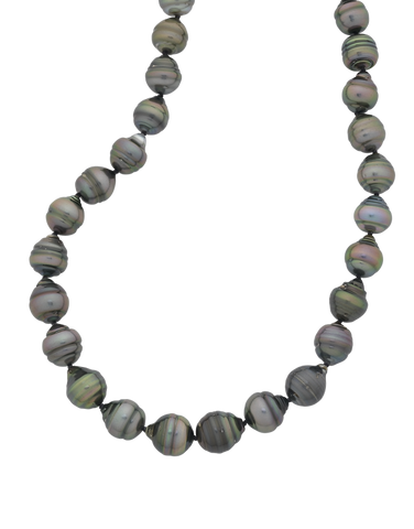 Pearl Strand - 9ct Black Tahitian Pearl Strand - 770216