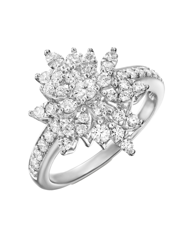 Diamond Ring - 10ct White Gold Snowflake Diamond Set Ring - 781604
