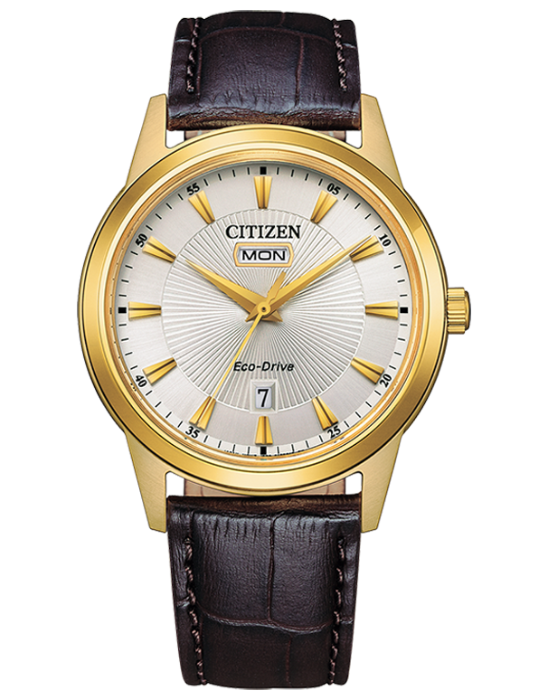 Citizen - Eco-Drive Gold Tone Case Silver Dial Day/Date 40mm - AW0102-13A - 784992