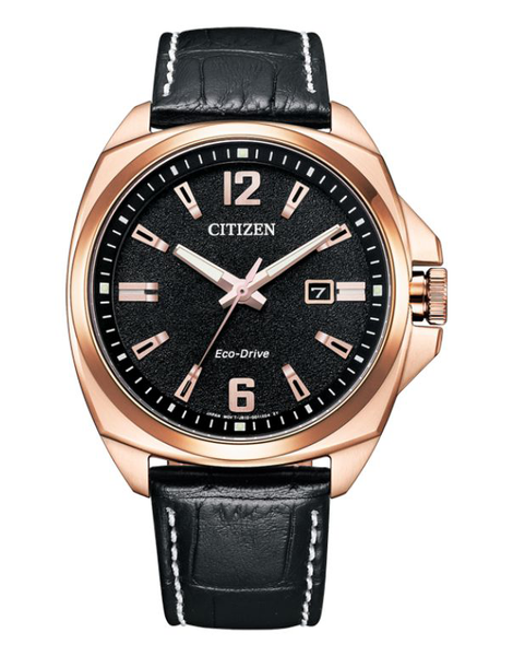 Citizen eco drive hotsell men's premium strap watch