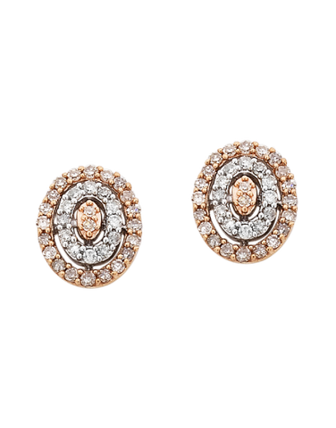 Diamond Earrings - 9ct Diamond Set Two Tone Rose Gold Earrings - 754092