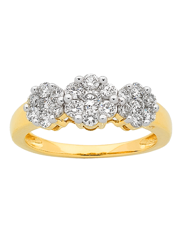 9ct White Gold, Diamond Cluster Ring Tdw=1ct | Stewart Dawsons